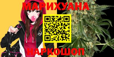 крисы Нальчик