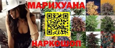 мяу мяу мука Нарткала