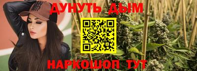 крисы Нальчик