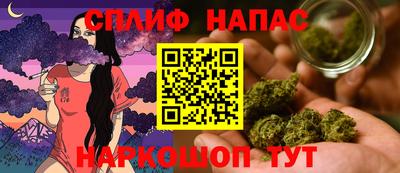 крисы Нальчик