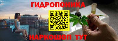 крисы Нальчик
