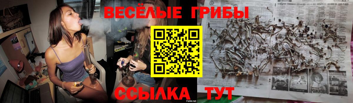 Лобня  Псилоцибиновые грибы GOLDEN TEACHER  Вход с VPN 